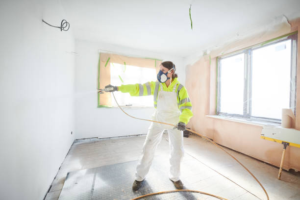 Best Mold Prevention Services  in Okemos, MI