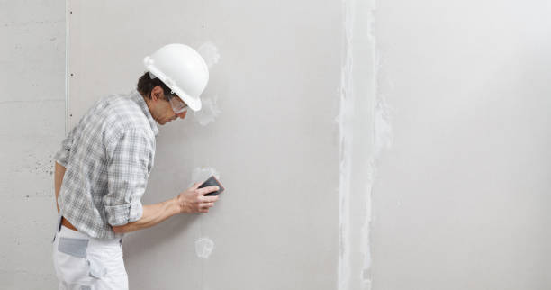 Best Industrial Mold Remediation  in Okemos, MI
