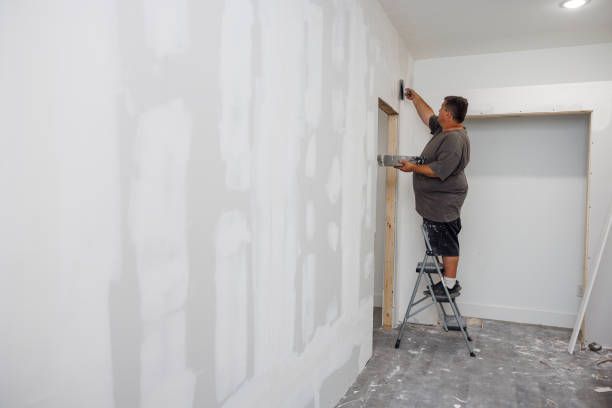 Best Mold Documentation for Insurance Claims  in Okemos, MI