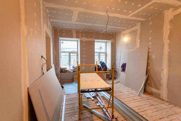 Reliable Okemos, MI Mold Removal Solutions